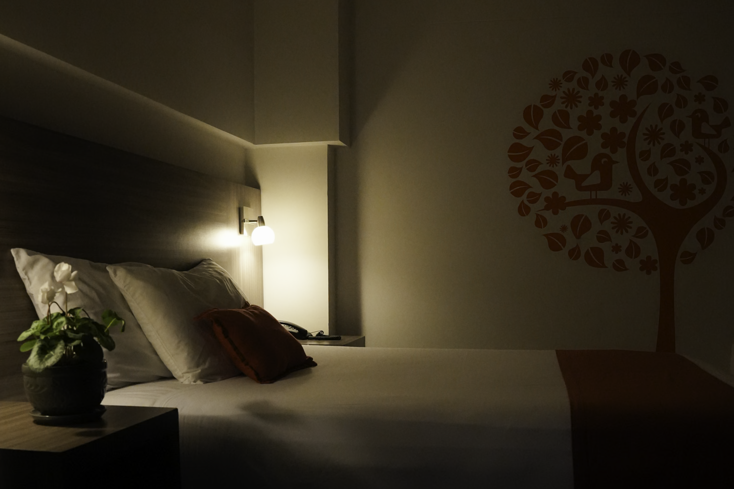 Mh Hoteles Pereira habitaciones economicas en Pereira