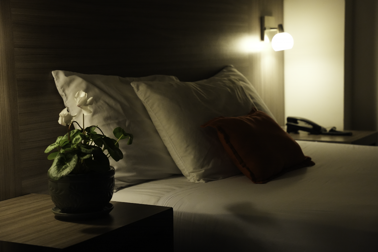 Mh Hoteles Pereira